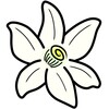 星空无限传媒免费观看电视剧最新章节官方版